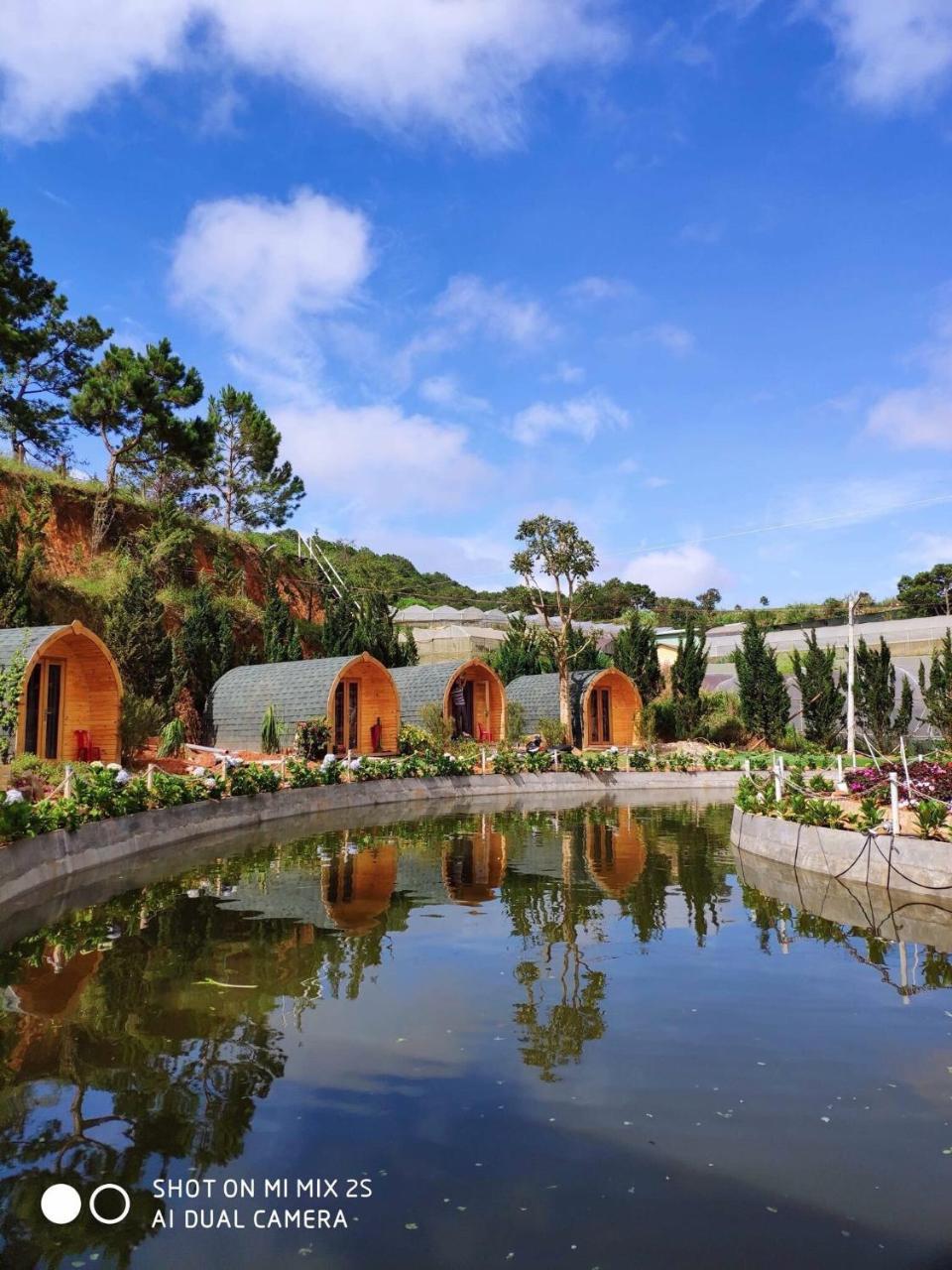 Berry Valley Homestay Da Lat Dış mekan fotoğraf